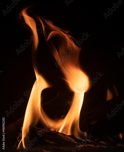 bonfire fire flame heat hot wood light  campfire 