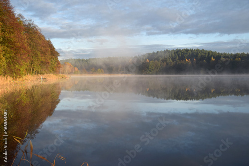 Fototapeta Naklejka Na Ścianę i Meble -  autumn fog 