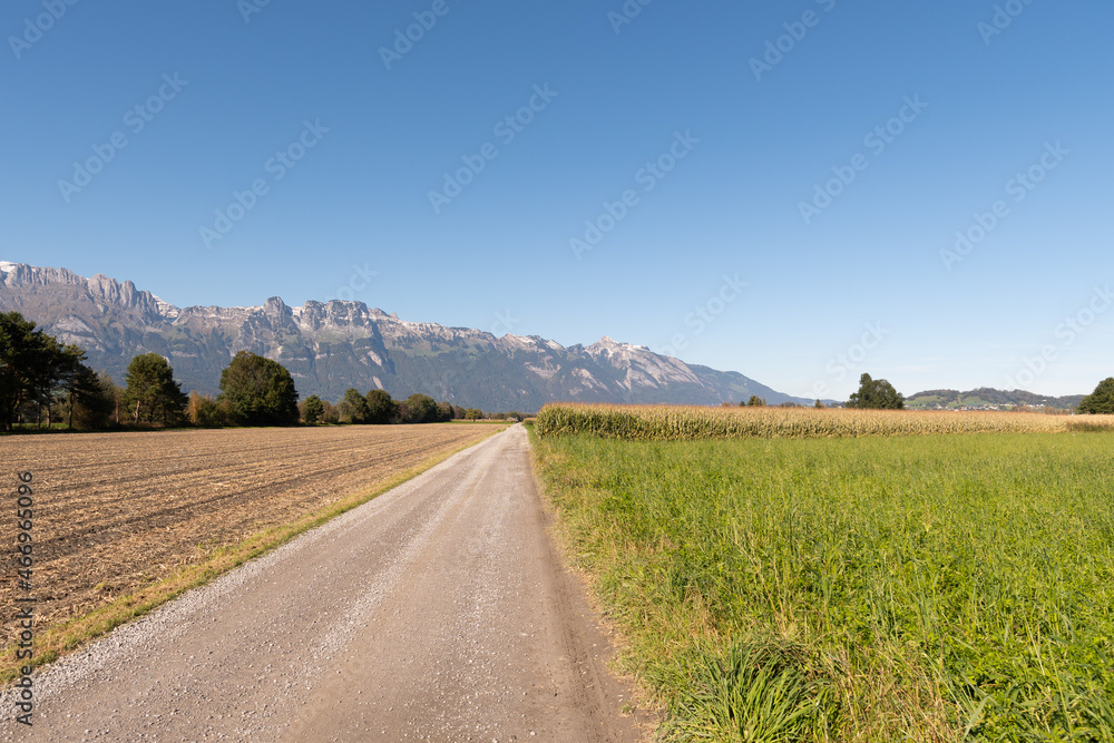 Schaan, Liechtenstein, October 14, 2021 Arable field in an alpine scenery Schaan, Liechtenstein, October 14, 2021 Arable field in an alpine scenery
