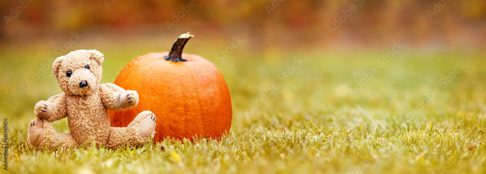 Fototapeta premium Pumpkin and toy bear sitting in the grass. Happy thanksgiving day or halloween, holiday, greeting card, banner.
