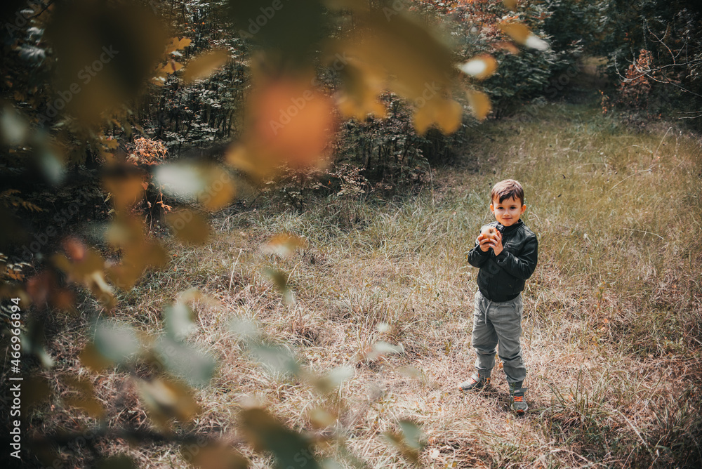 A cheerful boy in the autumn forest with an apple in his hands A cheerful boy in the autumn forest with an apple in his hands