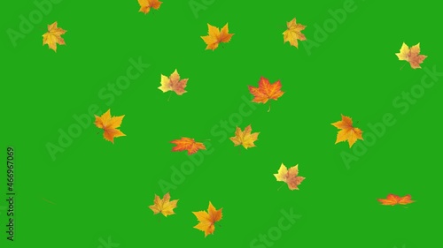 Wallpaper Mural Orange autumn leaves falling on transparent alpha channel background. Bright fall color leaves on transparent background Torontodigital.ca