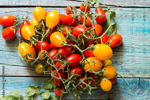 The yellow and red Piennolo of Vesuvius or simply Vesuvian Tomato, on a blue wood background. Piennolo is a cluster tomato grown in Naples, Italy.
