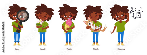 cartoon style illustration of five human senses.