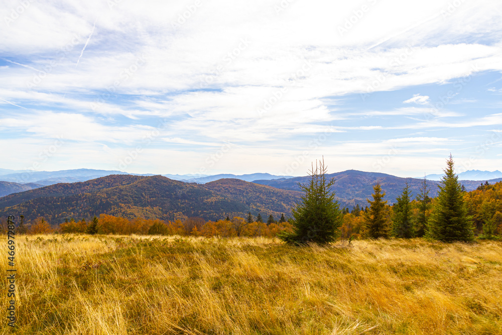 Autumn mountain is covered with yellow grass and coniferous trees Autumn mountain is covered with yellow grass and coniferous trees
