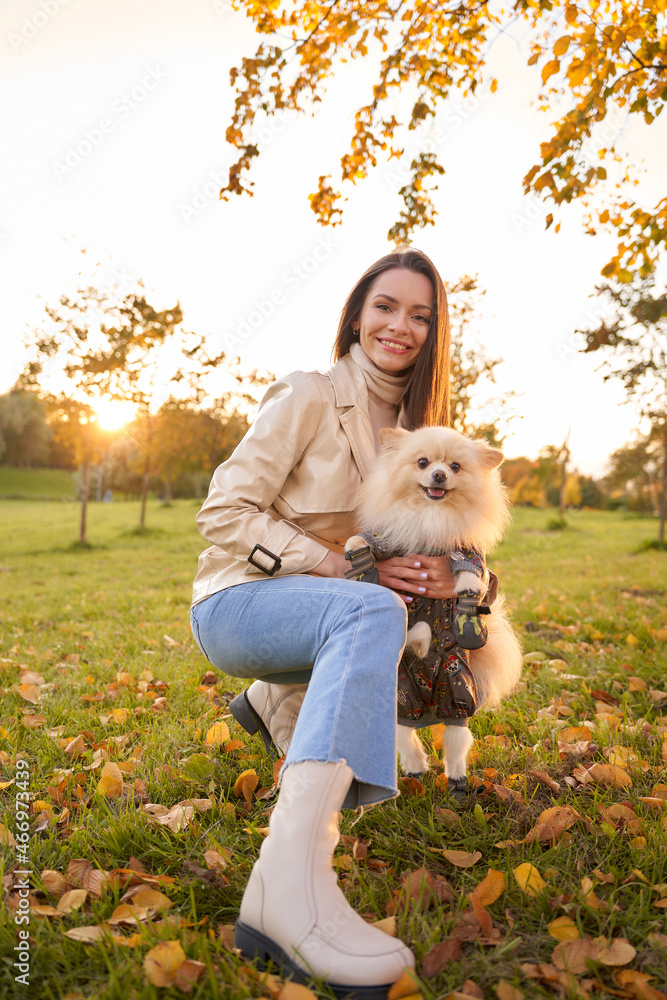 Young beautiful woman with long straight hair walking in park with pomeranian spitz dog. Elegant woman in bright jacket and blue jeans in autumn park Young beautiful woman with long straight hair walking in park with pomeranian spitz dog. Elegant woman in bright jacket and blue jeans in autumn park