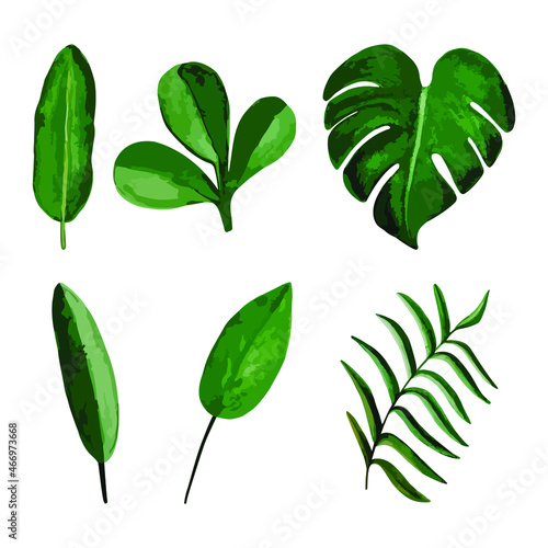 watercolor leaf illustration set - collection of green leaves, stationary for wedding, greetings, wallpapers, fashion, background. Eucalyptus, olives, green leaves, etc.