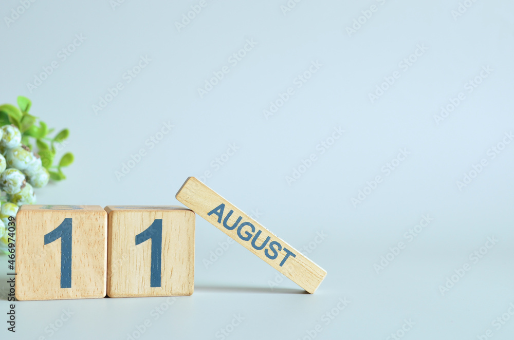 August 11, Calendar cover design with number cube with green fruit on blue background. August 11, Calendar cover design with number cube with green fruit on blue background.