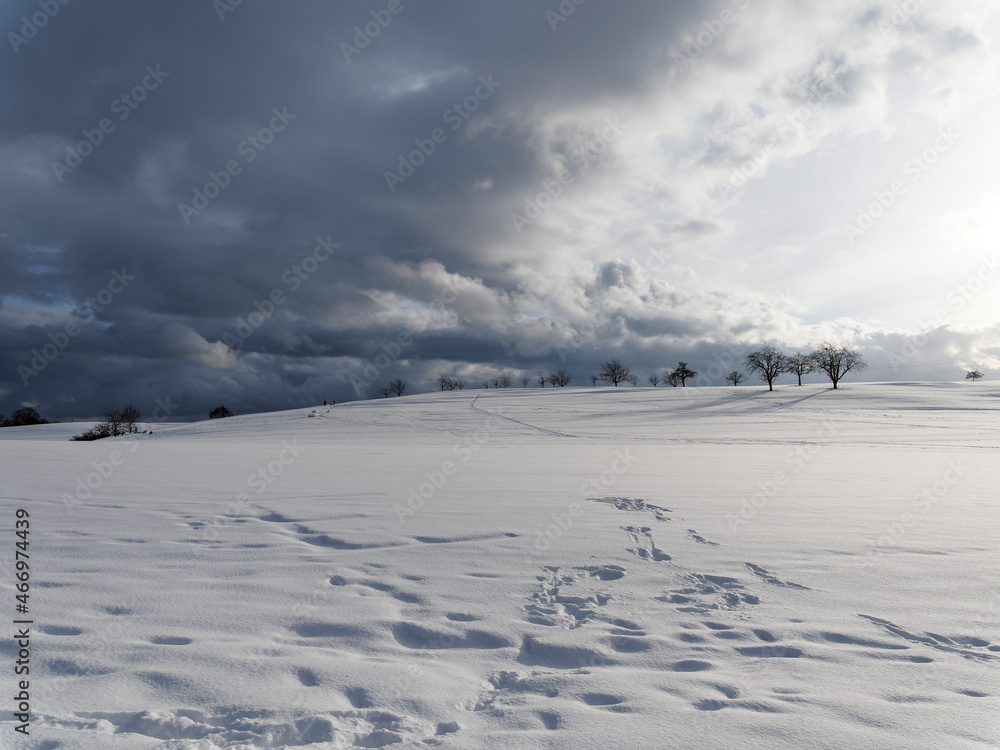 Beautiful winter scenery, snowy hill and meadows covered with white coat on Naturpark of Black Forest in Germany