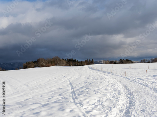 View of a snowy landscapes, hill, meadow and apples orchard in winter around lake Eichen and Schopfheim at the foot of the Black Forest mountains Germany © Marc