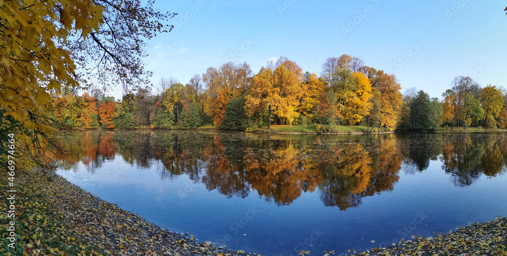 Autumn in the park. Trees with bright, colorful leaves grow around the pond and are reflected in its blue water. Inverted photo.. Autumn in the park. Trees with bright, colorful leaves grow around the pond and are reflected in its blue water. Inverted photo..