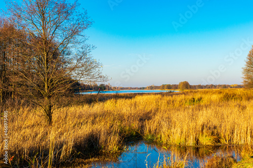 Golden hour by the Narew River