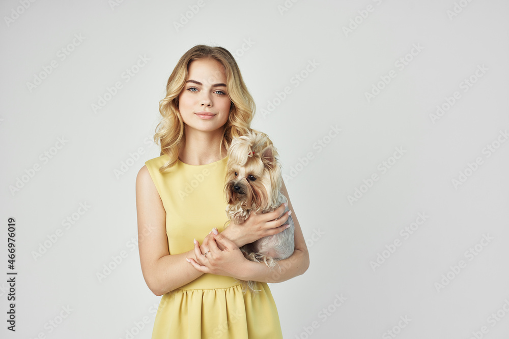 Obraz premium woman fashionable purebred dog cropped view fashion