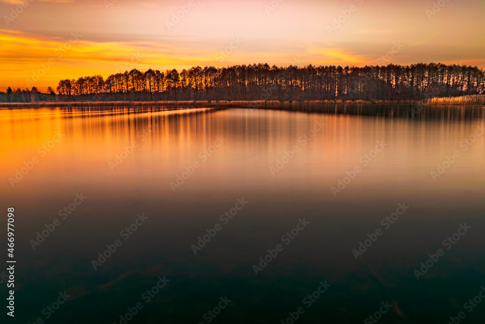 Obraz premium Golden hour by the Narew River