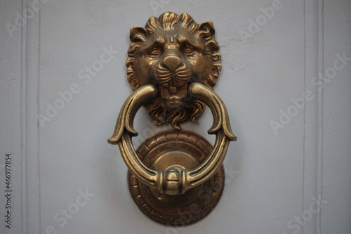 Vintage brass door knocker on an old door, Italy, Rome