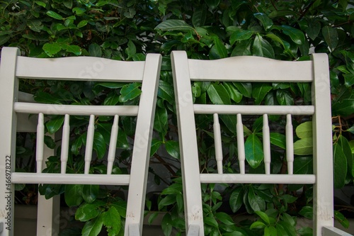 back of two old white chairs in front of a green bush
