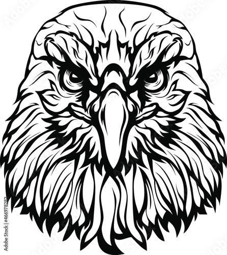 Hand drawn eagle head emblem. Mascot bird vector. Logo illustration.
