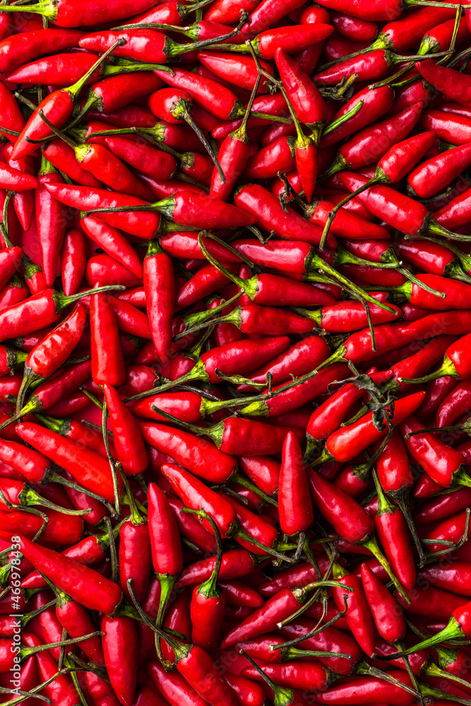 Hot Chili Peppers Background. Chilli Texture Closeup View