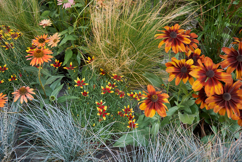 composition of colorful plants in a flower market photo