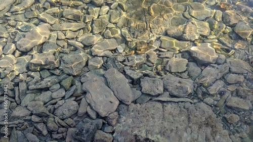 Close photo rocks underwater.Crabs on the rocks