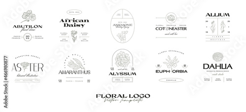 Vintage Flower logo template collection illustration for branding