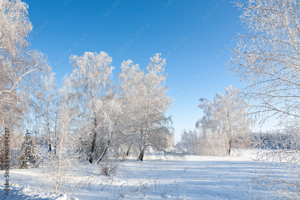 Beautiful winter landscape with snow covered trees. Frosty trees. Christmas holidays. Beautiful winter landscape with snow covered trees. Frosty trees. Christmas holidays.