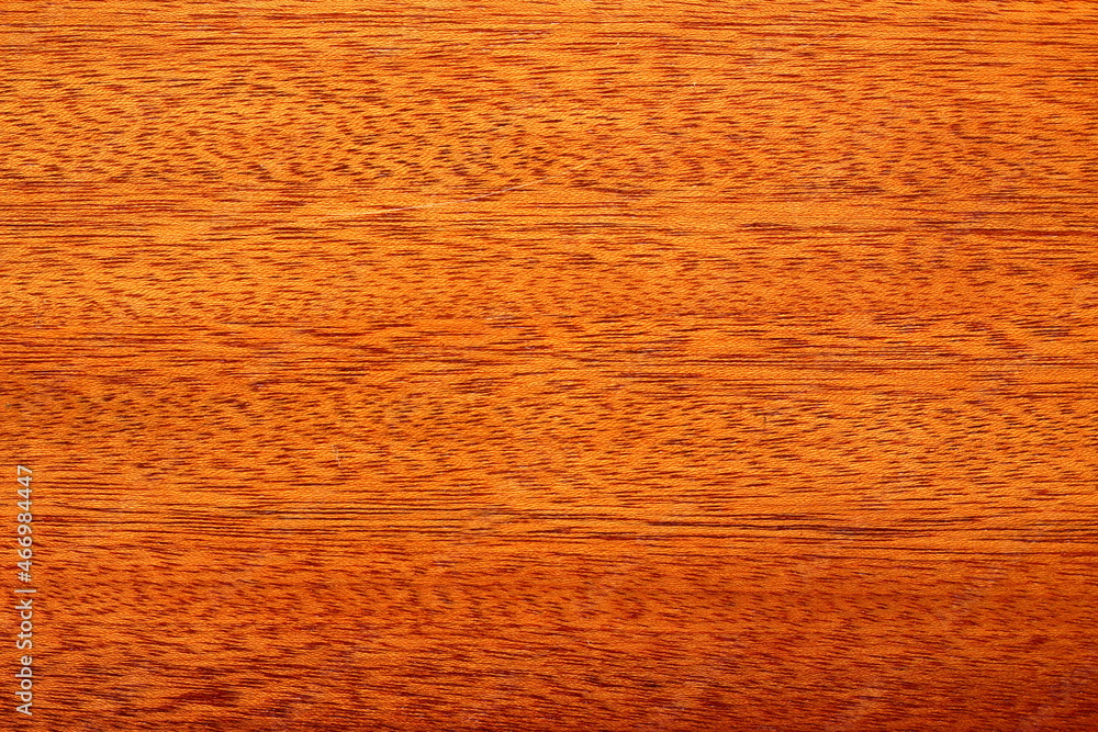 Fototapeta premium wood texture under varnish