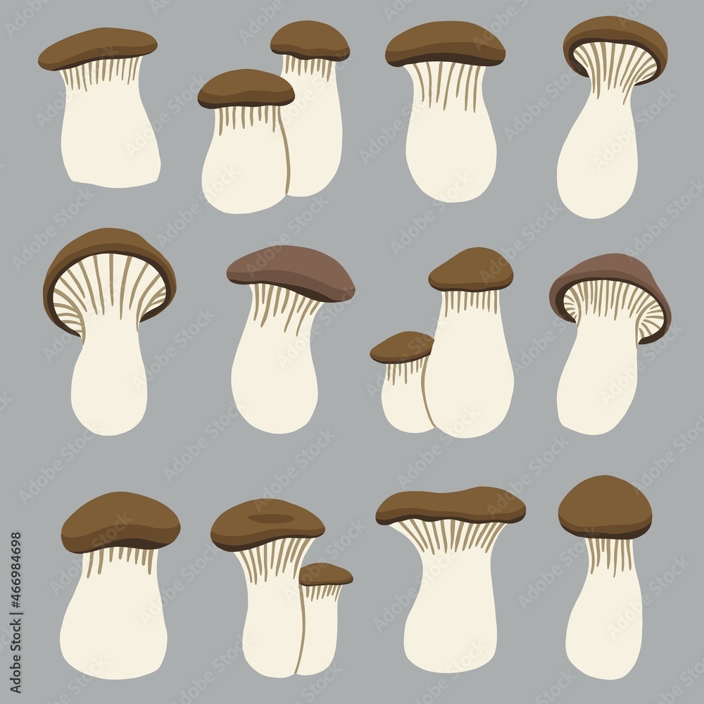 doodle freehand sketch drawing of king trumpet mushroom. doodle freehand sketch drawing of king trumpet mushroom.