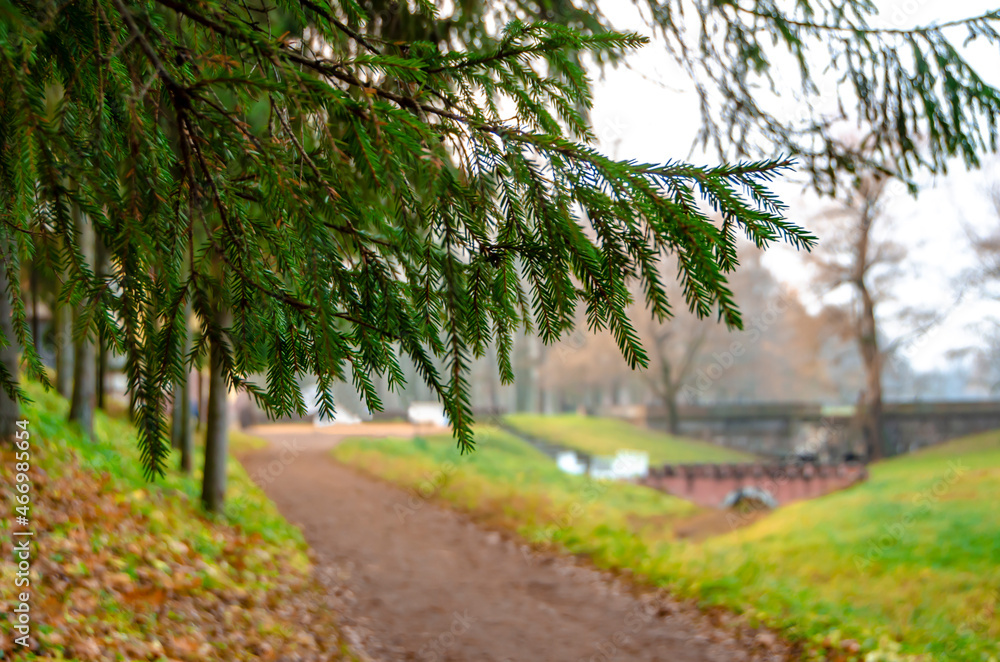 Hanging Christmas tree branches on the background of the autumn Catherine Park in Tsarskoye Selo, Pushkin, St. Petersburg, Russia Hanging Christmas tree branches on the background of the autumn Catherine Park in Tsarskoye Selo, Pushkin, St. Petersburg, Russia
