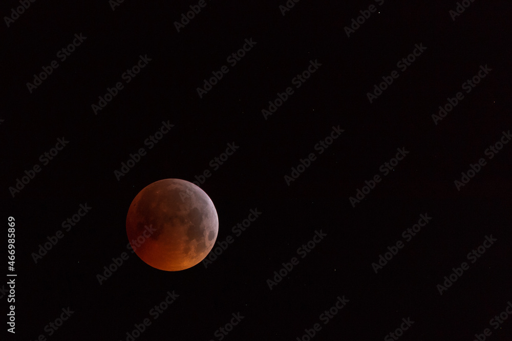 Fototapeta premium beautiful red full moon eclipse January 2019