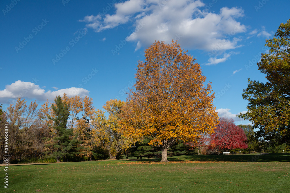 Iowa Jasper Park Golf Court Autumn Scene Iowa Jasper Park Golf Court Autumn Scene