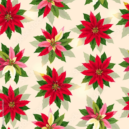 Vector seamless pattern with red poinsettia flower