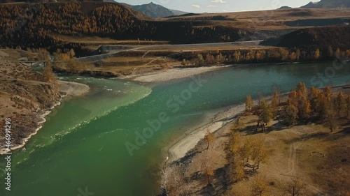 Altai Republic, Siberia, Russia. The two rivers Biya and Katun join into one river. Landscape with autumn wildlife: huge mountains, stone coast, yellow trees with golden foliage, green turquoise river