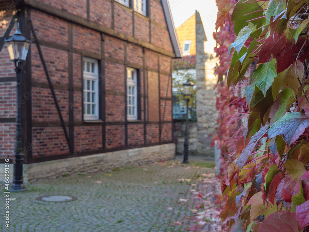 Naklejka premium Herbstzeit in Nottuln im Münsterland
