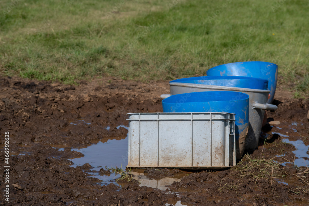 Close up of plastic water bowls on a farm in South Iceland Close up of plastic water bowls on a farm in South Iceland