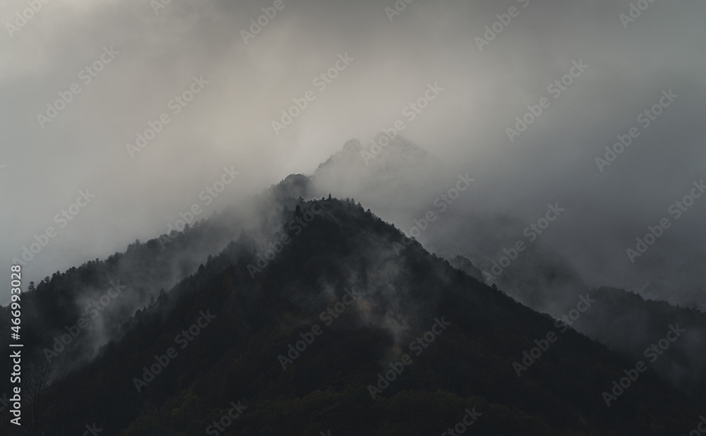 Mysterious black mountain forest in the fog Mysterious black mountain forest in the fog