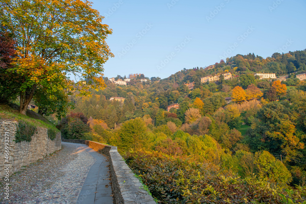 Fototapeta premium pedestrian street