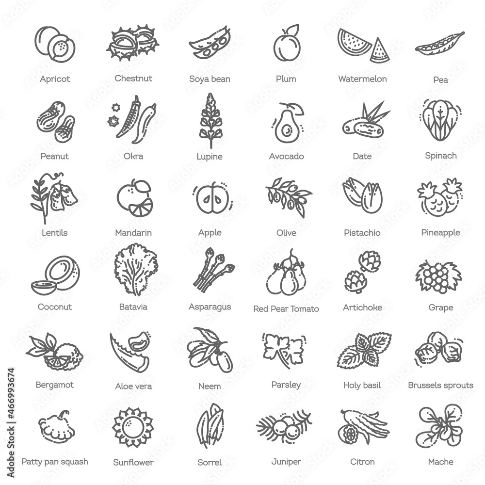 Vector collection. Vegetables and fruit thin line icon set. Ingredients