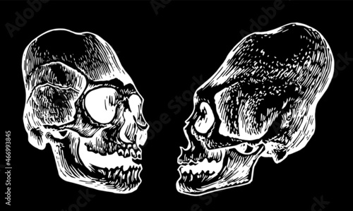 Graphical set of Mayan skulls isolated on black, long skull of ancient tribe, vector illustration, .Paleontological artifact
