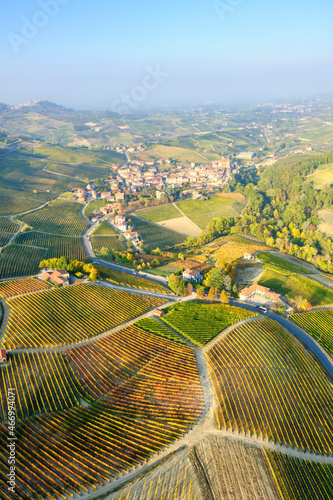 Принти на полотні Aerial view of the vineyards of the hilly region of Langhe (Piedmont, Northern Italy), fall season; UNESCO Site since 2014
