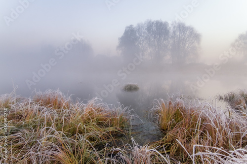 Morning mist on the river