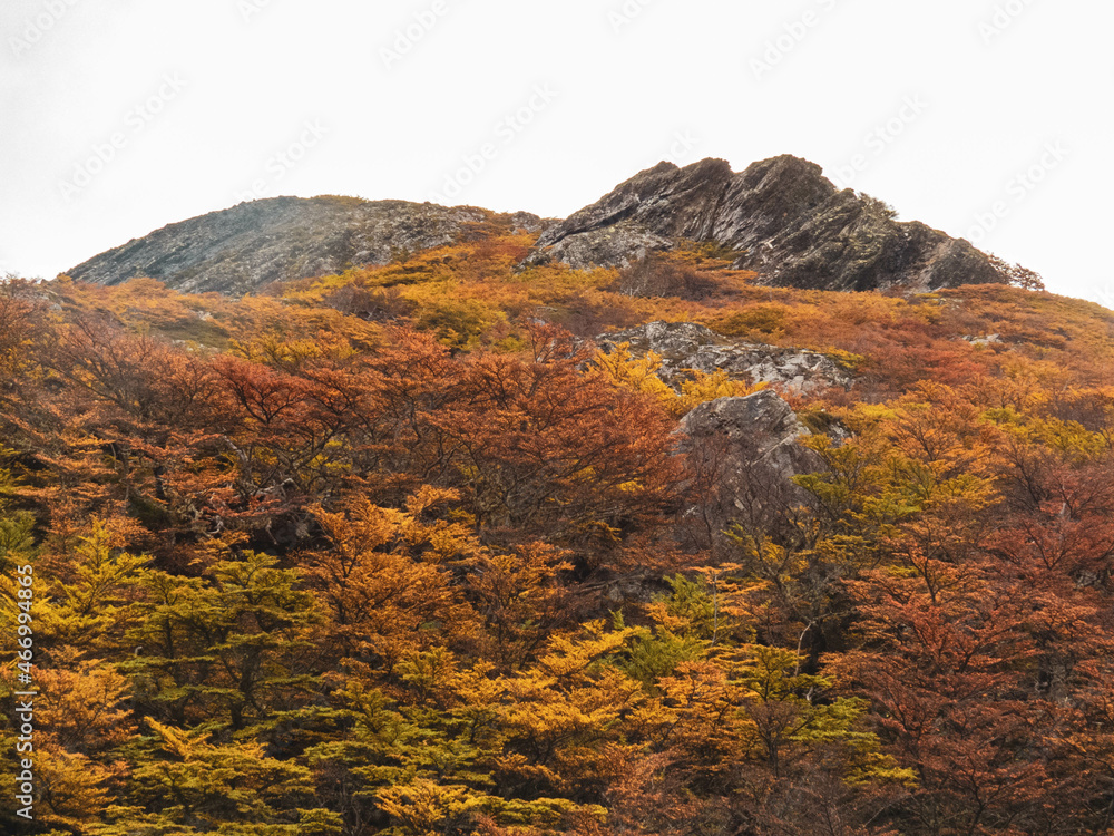 Autumn in Ushuaia / Otoño en Ushuaia (3)