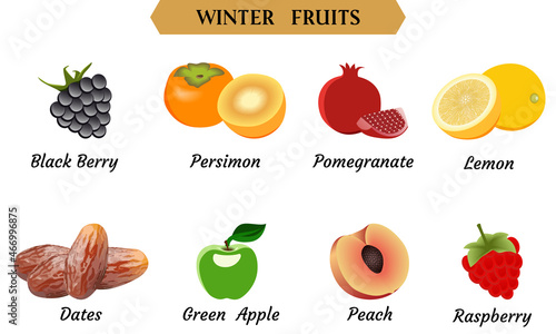Winter Fruits Vector Illustration, Simple Fruits vector illustration.