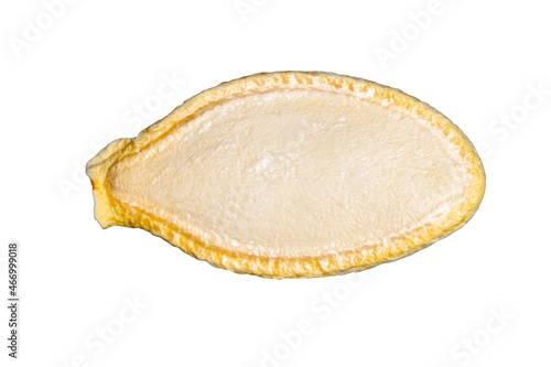 Dried pumpkin seed isolated on white background. Close-up photo.