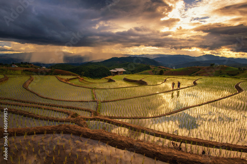 Distant view of two farmers walking in flooded rice terraces, Ban Papongpieng, Chiang Mai, Thailand photo