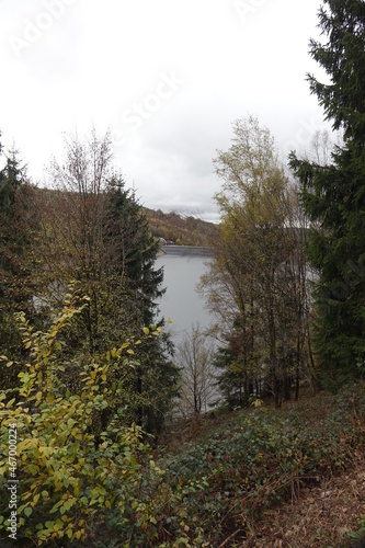Lake Primstalsperre water reservoir on a grey autumn day, Nonnweiler, Saarland, Germany 