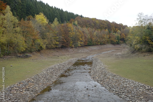 River Prims at the upper end of Lake Primstalsperre water reservoir, Züsch, Neuhütten, Rhineland Palantinate, Germany
 photo