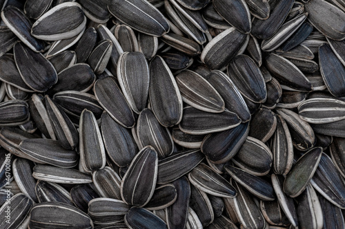 Black sunflower seeds. For background or texture close up