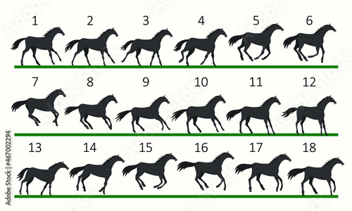 Horse running animation. Eighteen key positions of horse running. Vector illustration isolated on white background.
