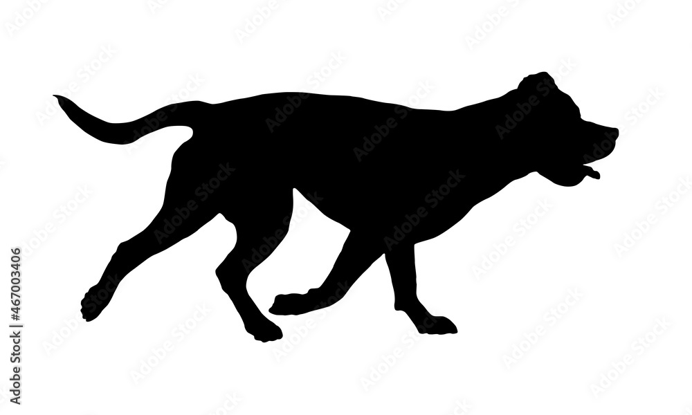 Black dog silhouette. Running italian mastiff. Pet animals. Isolated on a white background. Vector illustration.